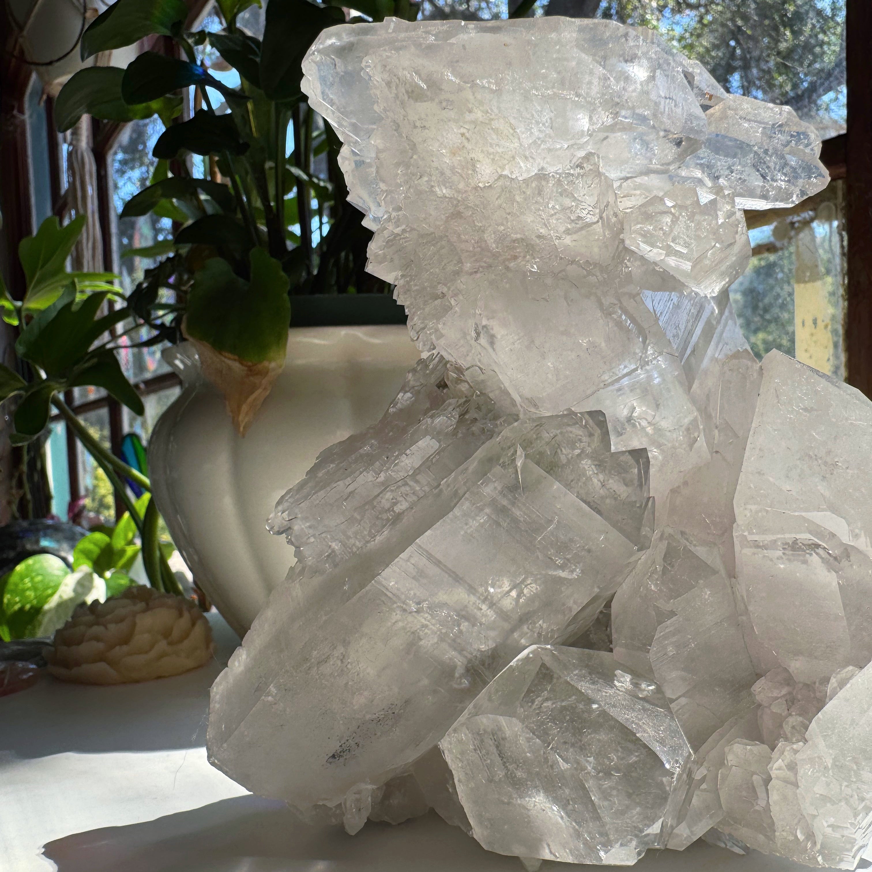 Large Rutilated Lemurian Quartz Cluster from Brazil Baltic Mermaid