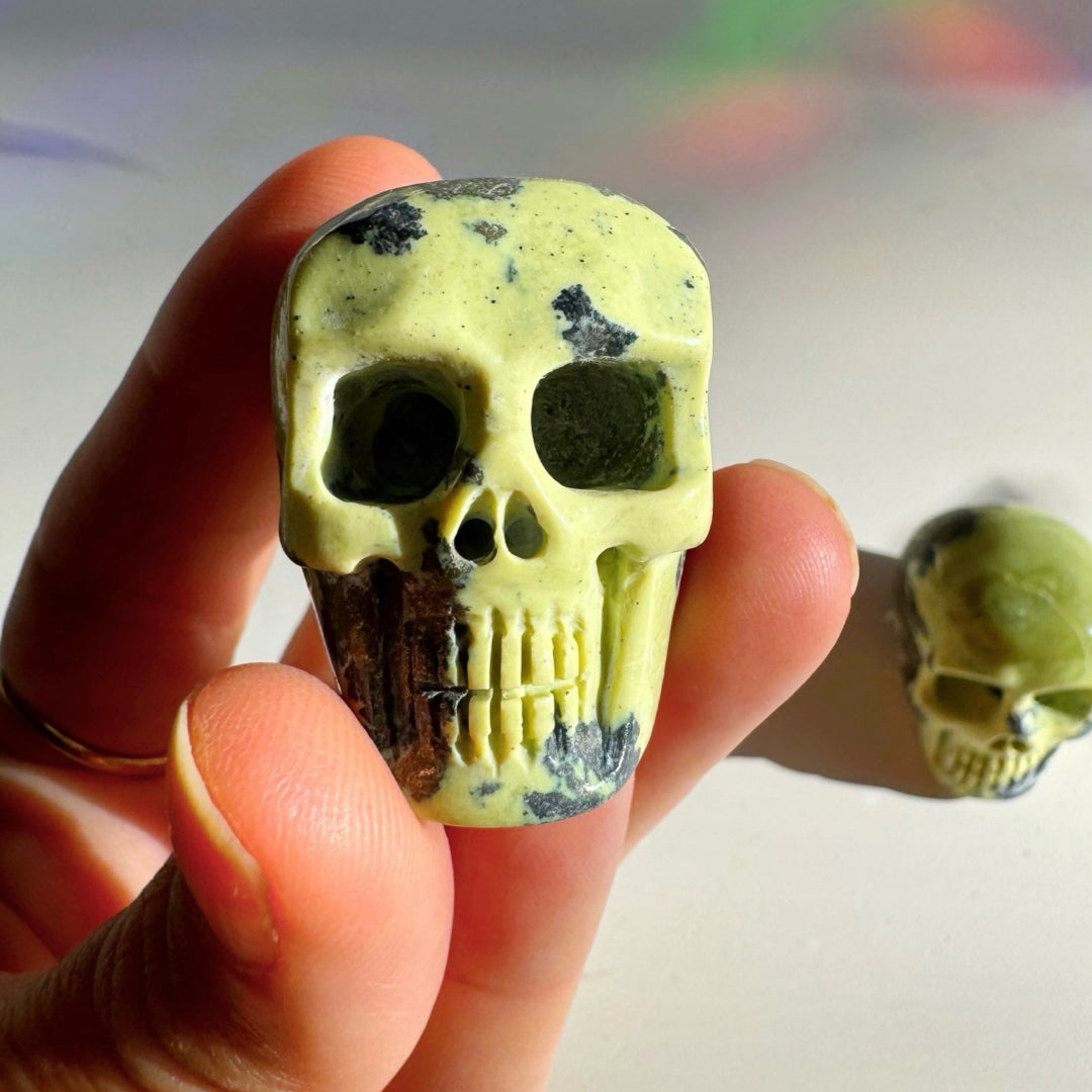 Serpentine Skull - Baltic Mermaid