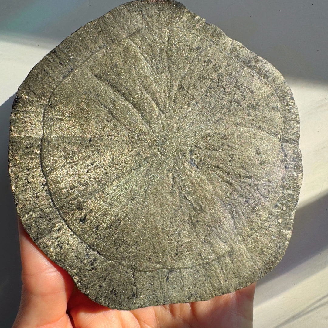 Pyrite Sun - Baltic Mermaid