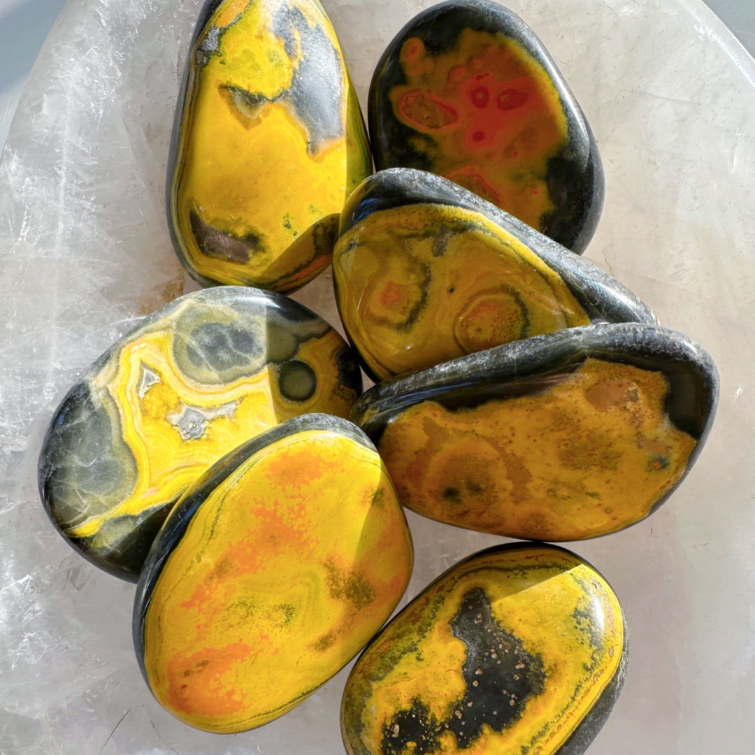 Bumblebee Jasper Palm Stones - Baltic Mermaid