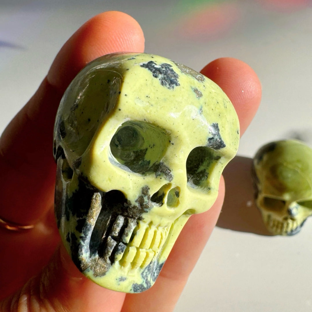 Serpentine Skull - Baltic Mermaid