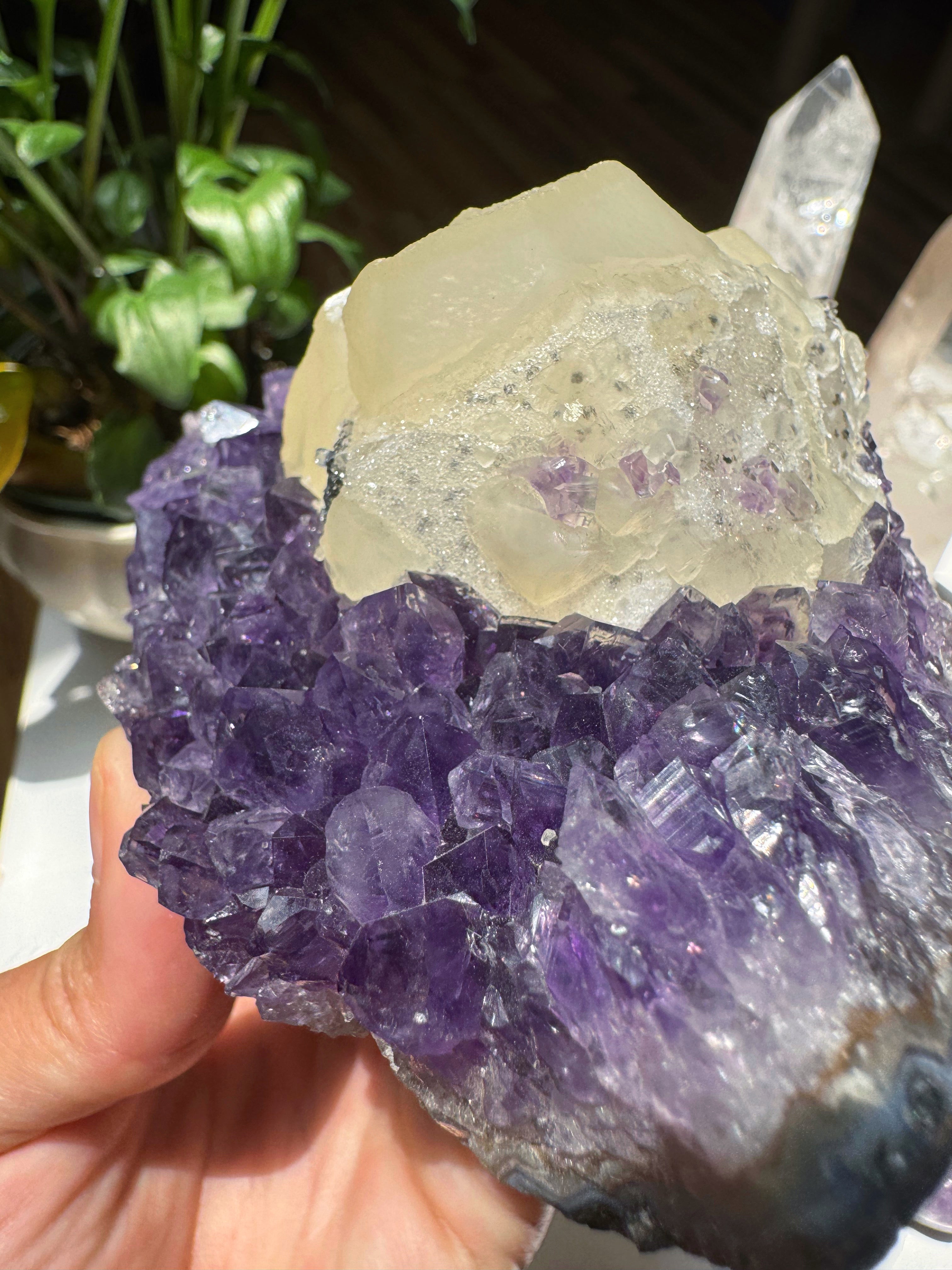 Amethyst Cluster w/ Druzy Calcite from Uruguay Baltic Mermaid
