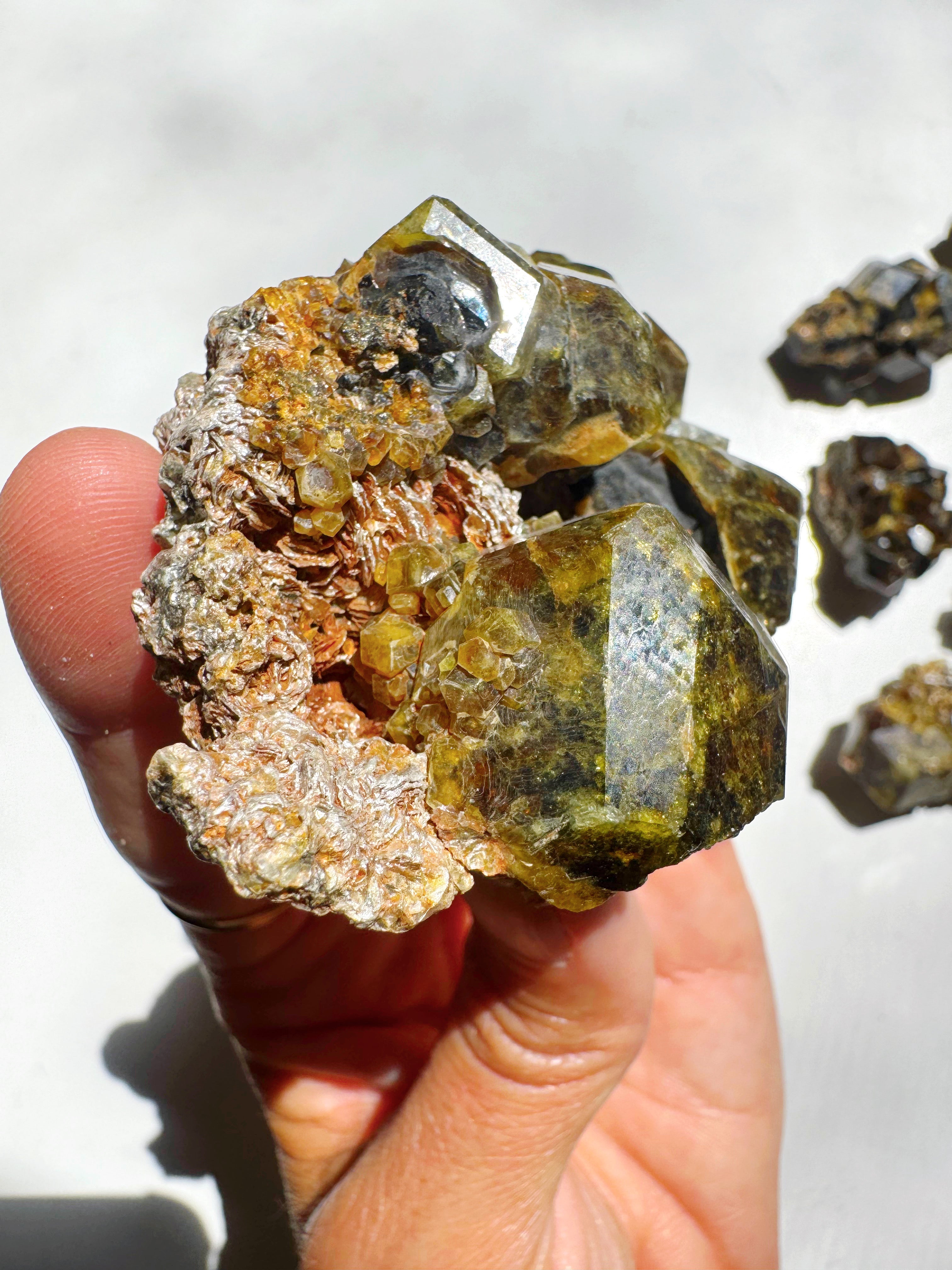 Rare Mali Green Grossular Andradite Garnet w/ Clinochlore AAA Quality Baltic Mermaid