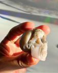 Pink Opal Skull - Baltic Mermaid