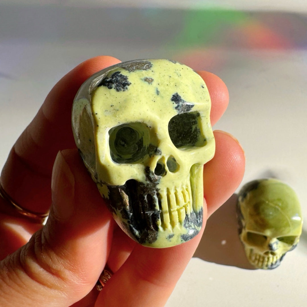 Serpentine Skull - Baltic Mermaid