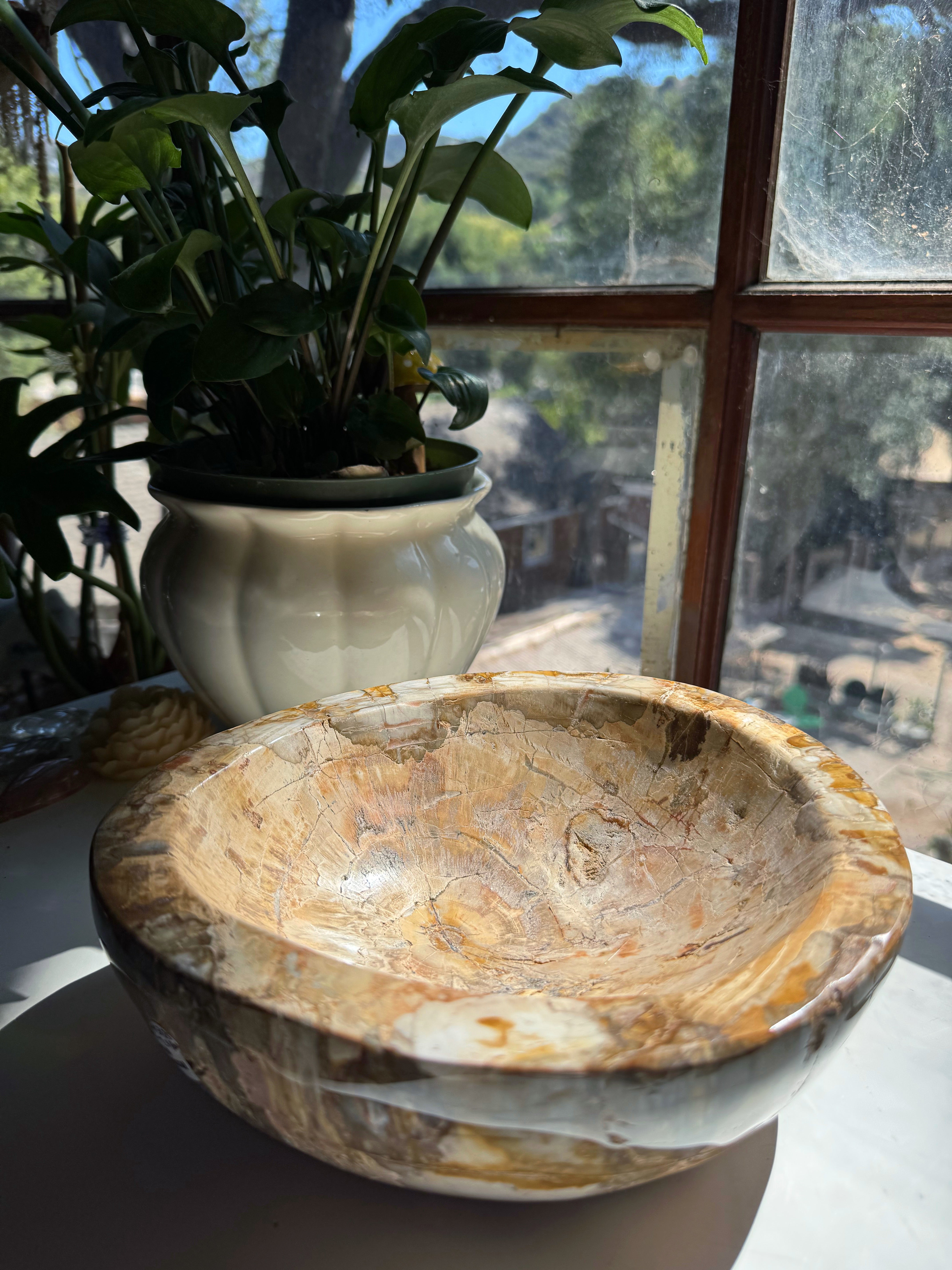 Petrified Wood Bowl Baltic Mermaid