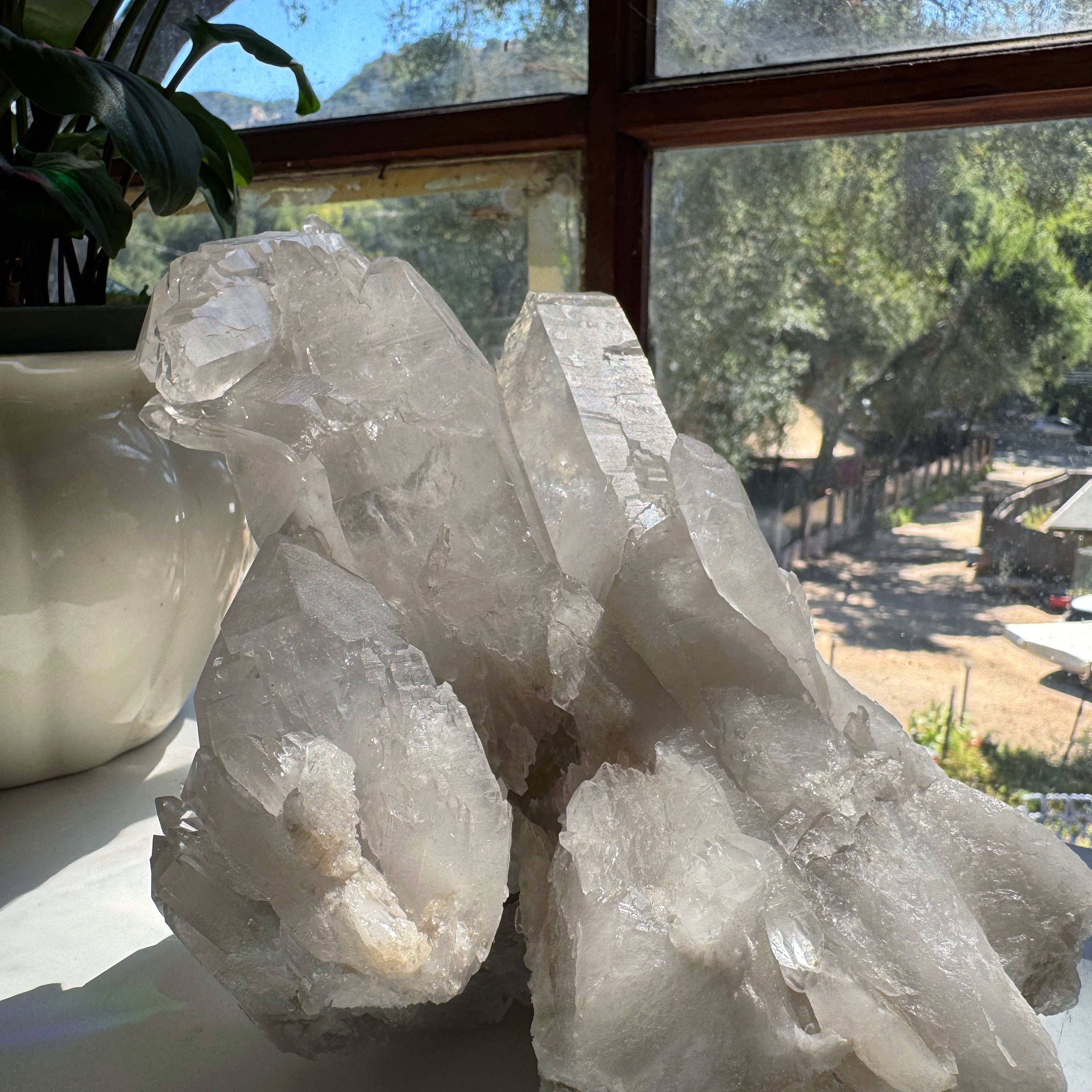 Large Rutilated Lemurian Quartz Cluster from Brazil Baltic Mermaid