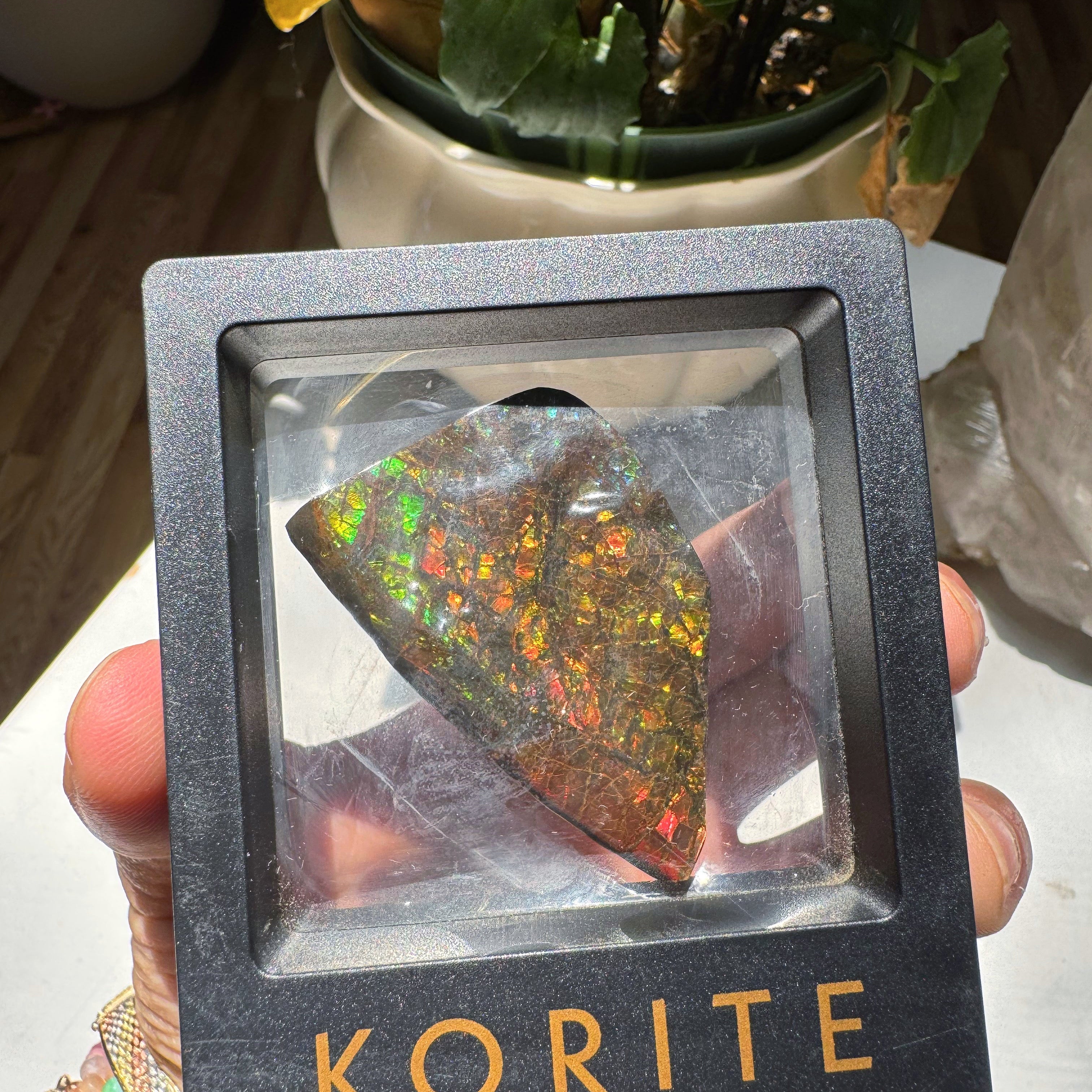 Ammolite Gemstone Hand Specimen Baltic Mermaid