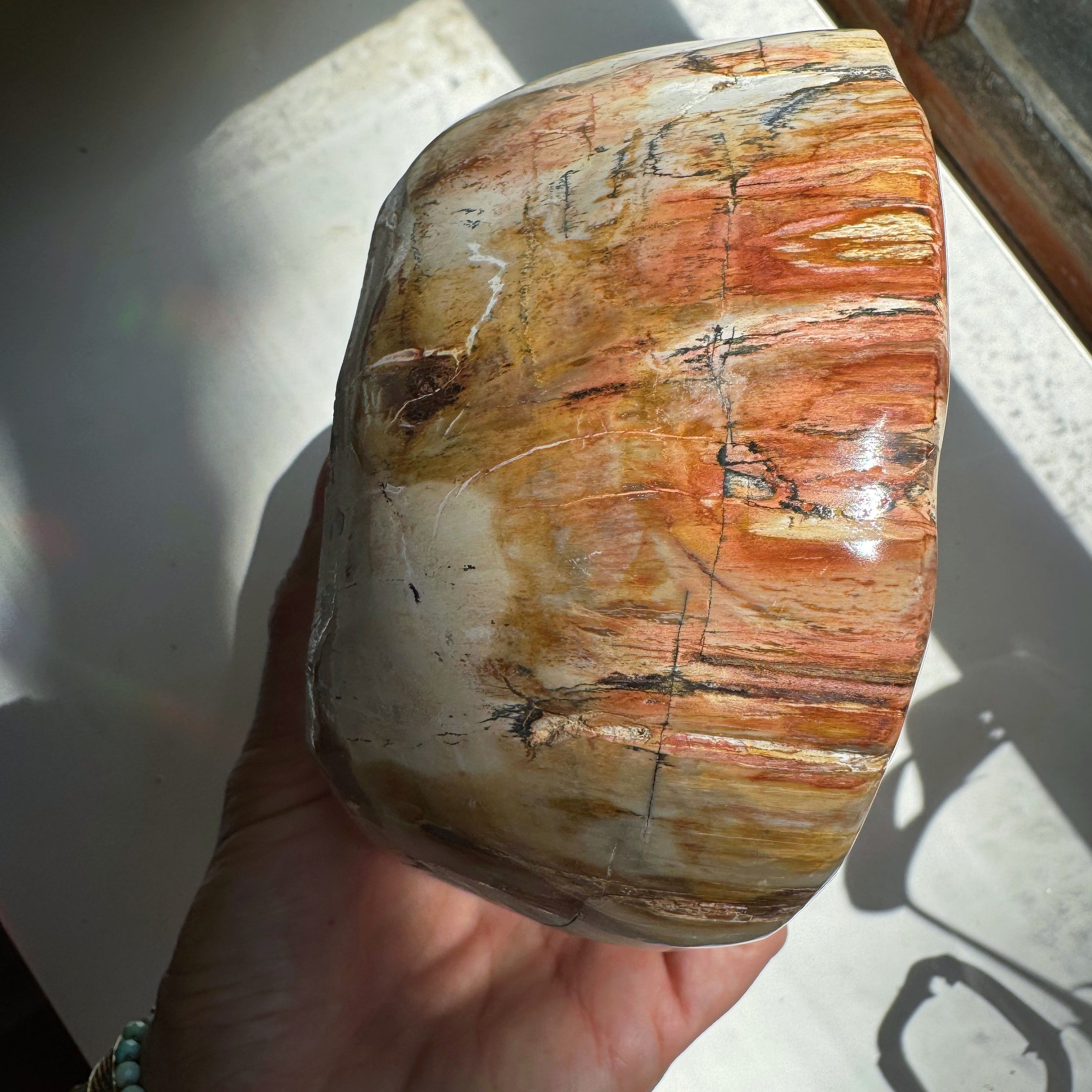 Petrified Wood Bowl Baltic Mermaid
