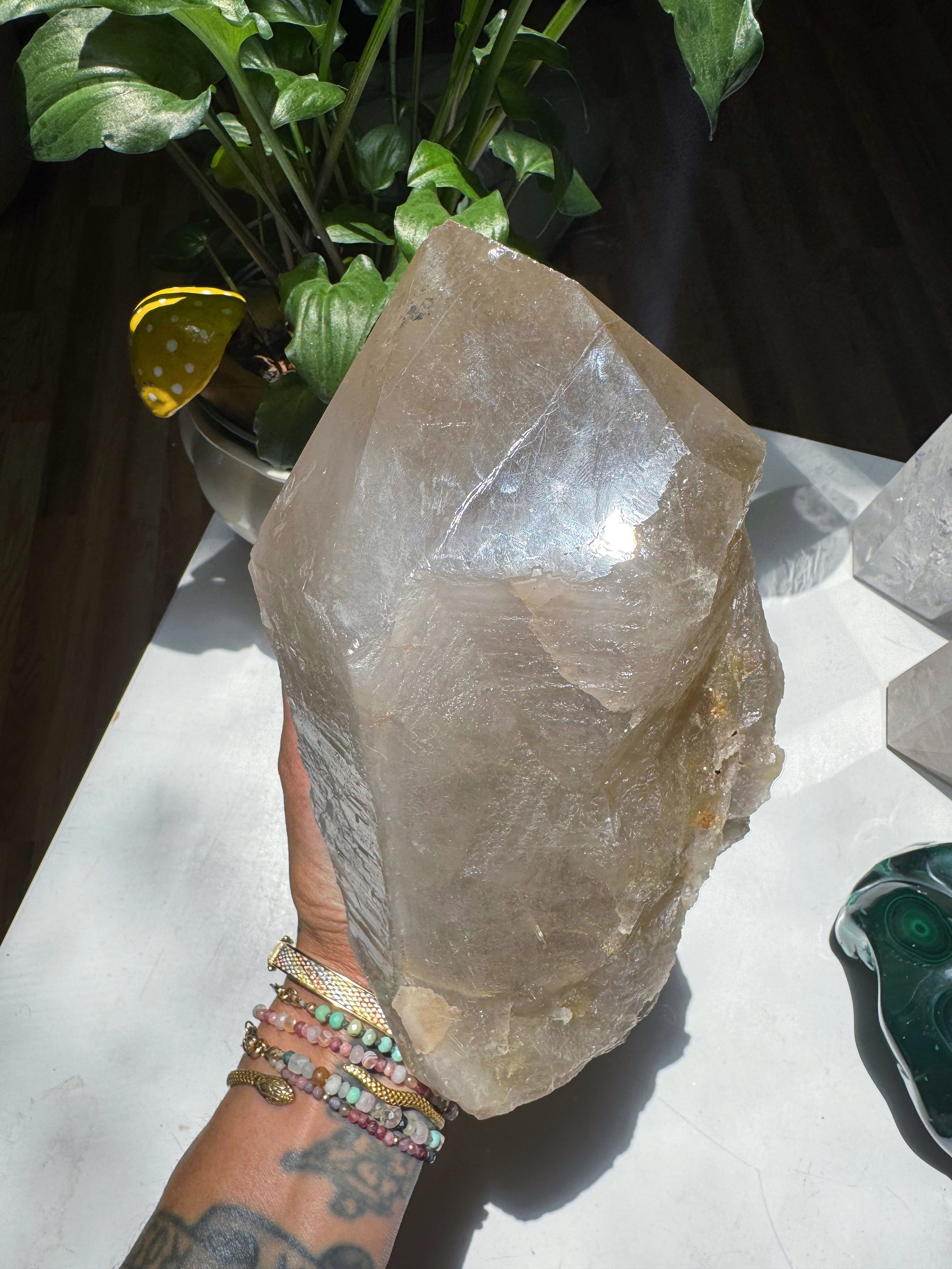 Large Rutilated Quartz Point from Brazil w/ Recordkeepers Baltic Mermaid