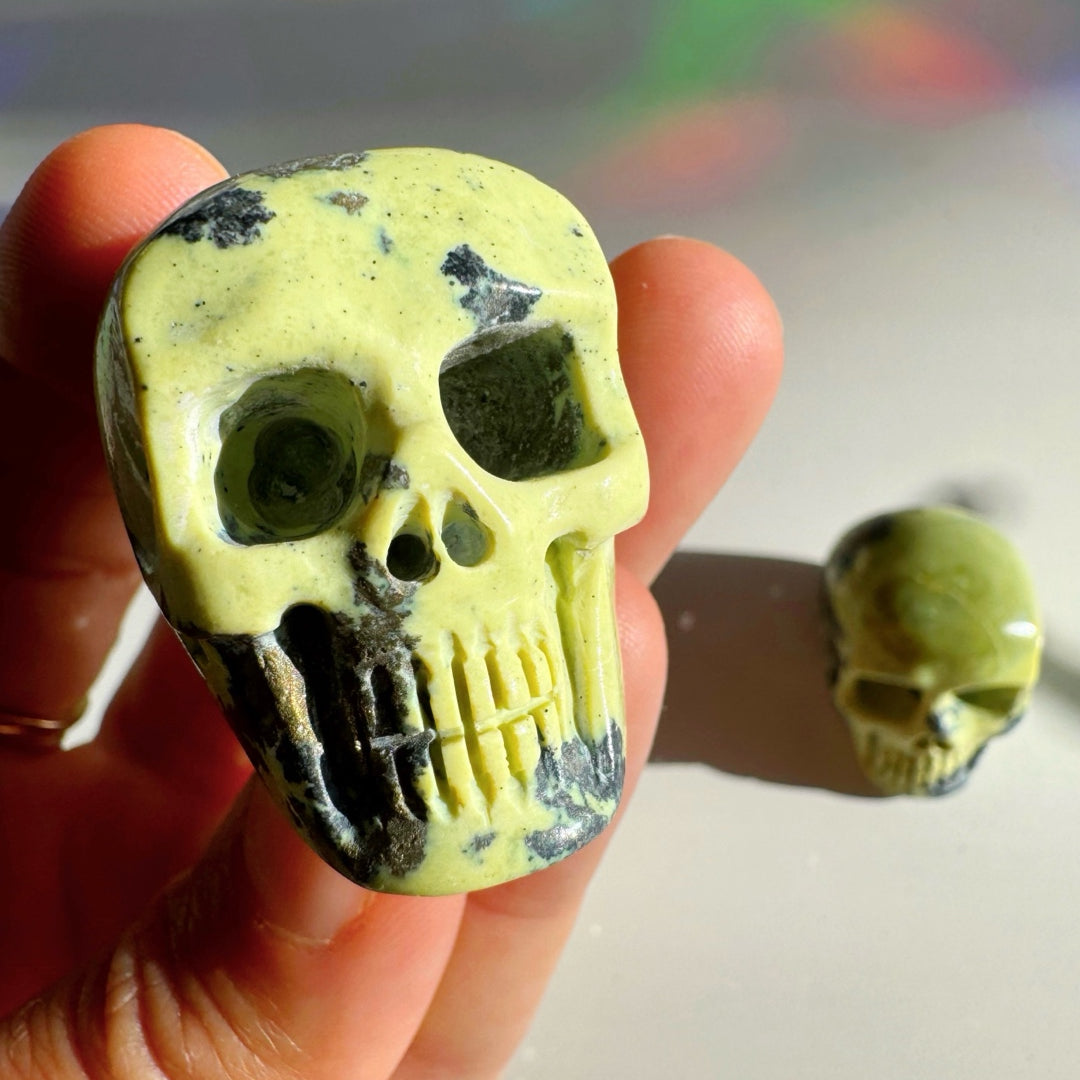 Serpentine Skull - Baltic Mermaid