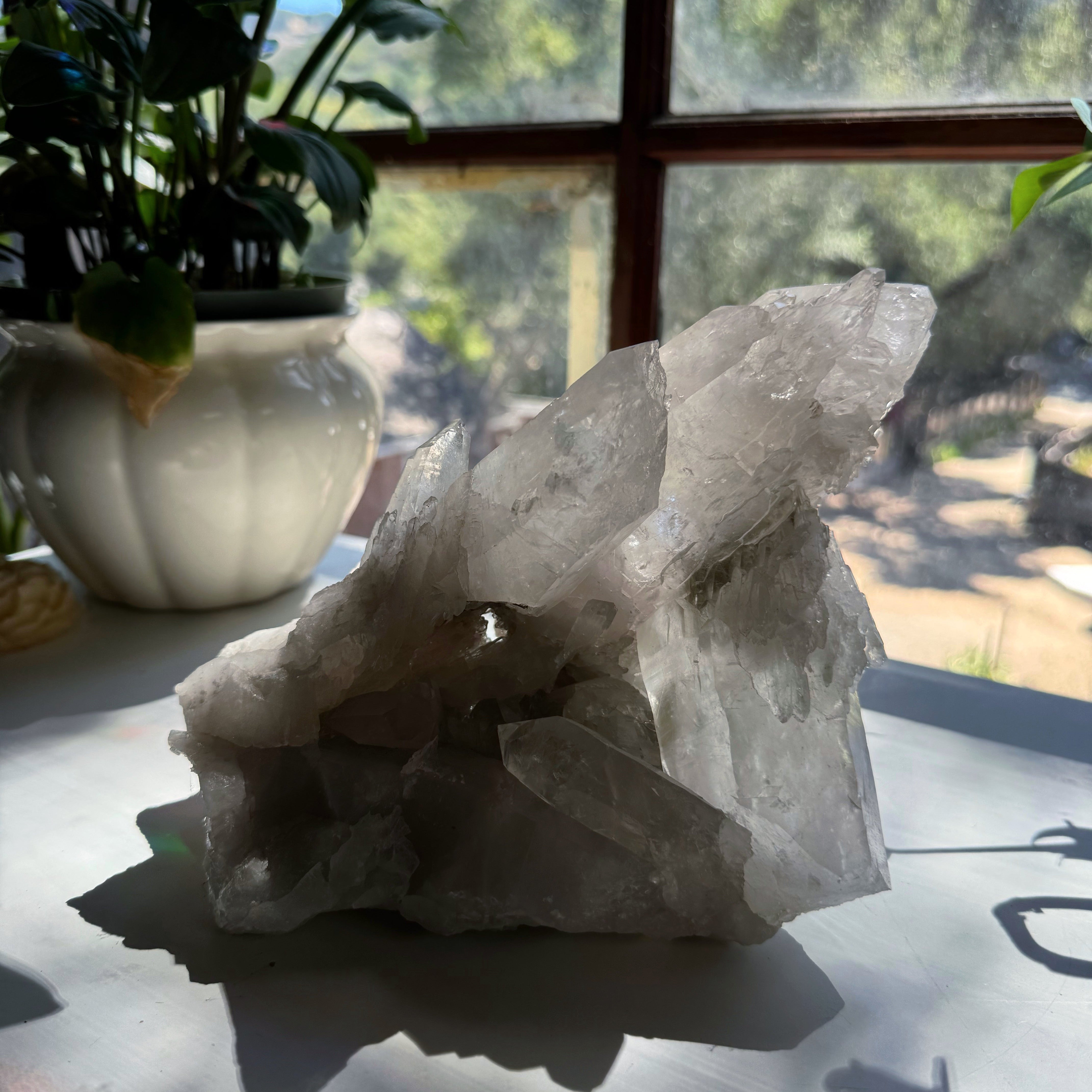 Large Rutilated Lemurian Quartz Cluster from Brazil Baltic Mermaid