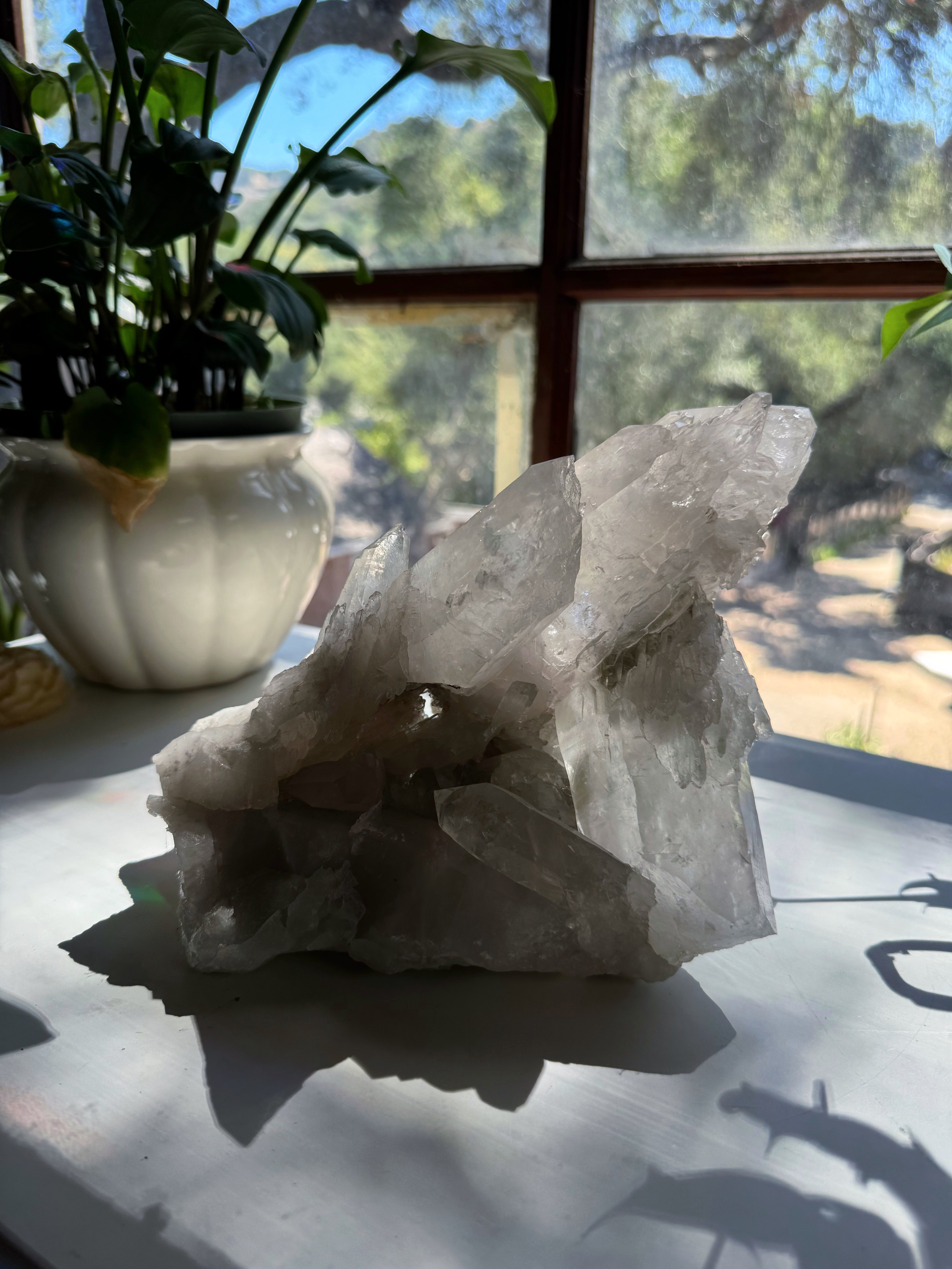 Large Rutilated Lemurian Quartz Cluster from Brazil Baltic Mermaid