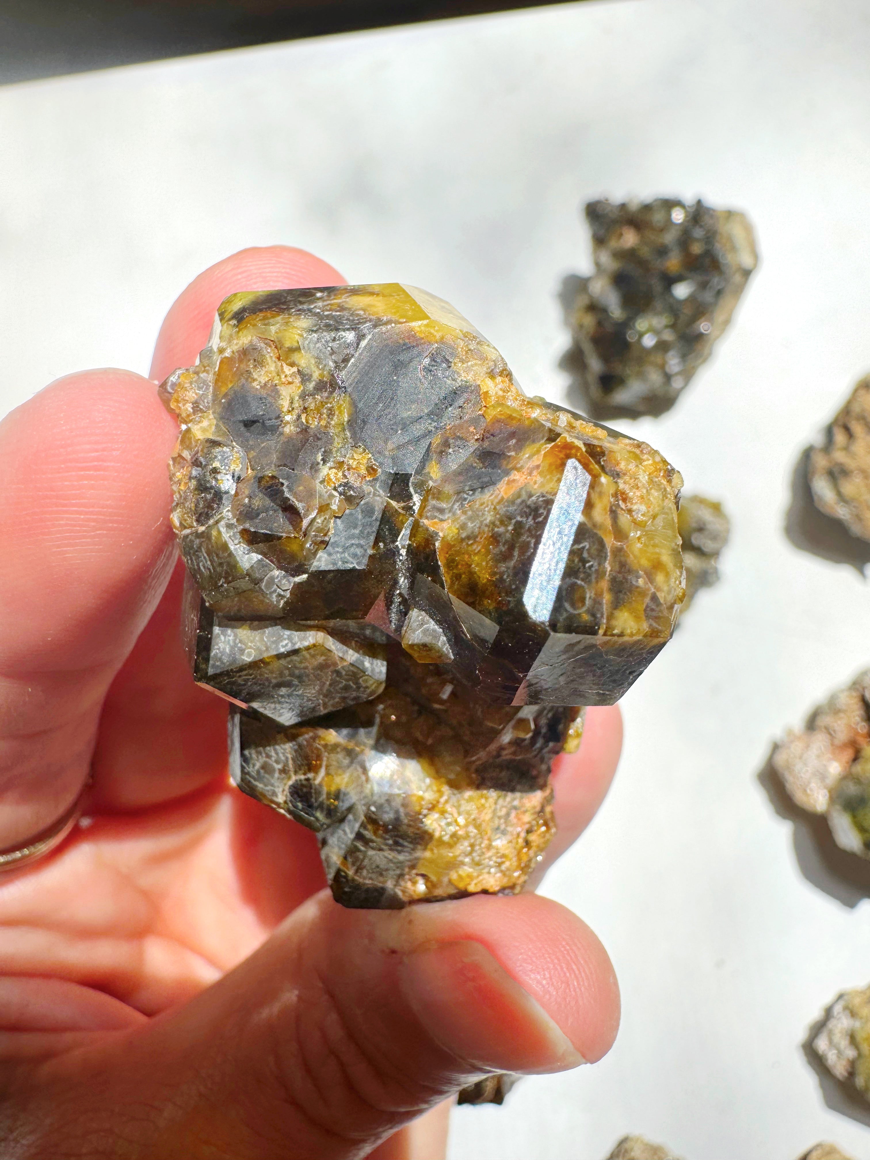 Rare Mali Green Grossular Andradite Garnet w/ Clinochlore AAA Quality Baltic Mermaid