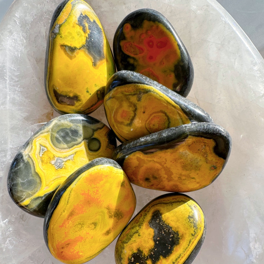 Bumblebee Jasper Palm Stones - Baltic Mermaid