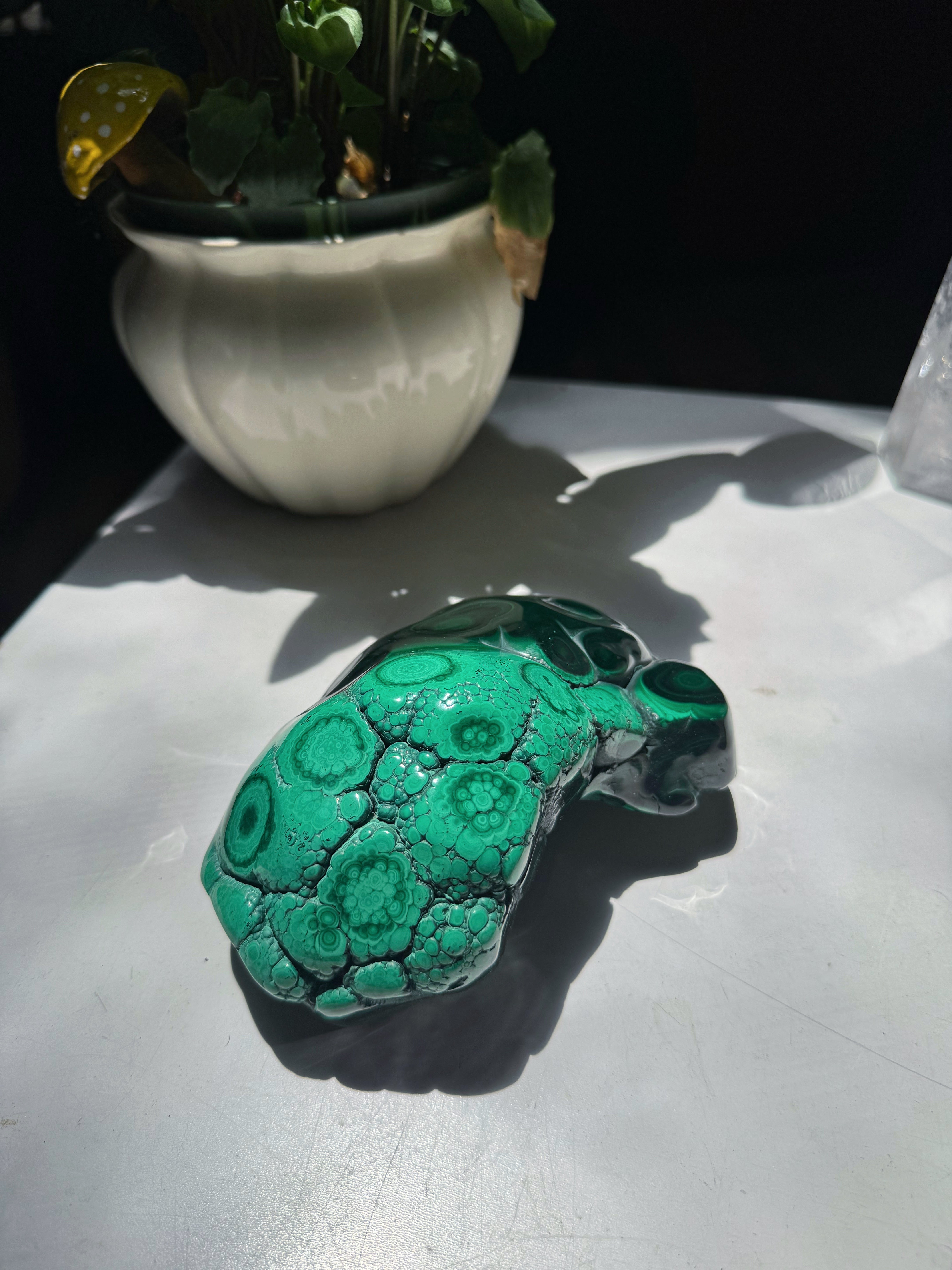 Large Polished Malachite Baltic Mermaid