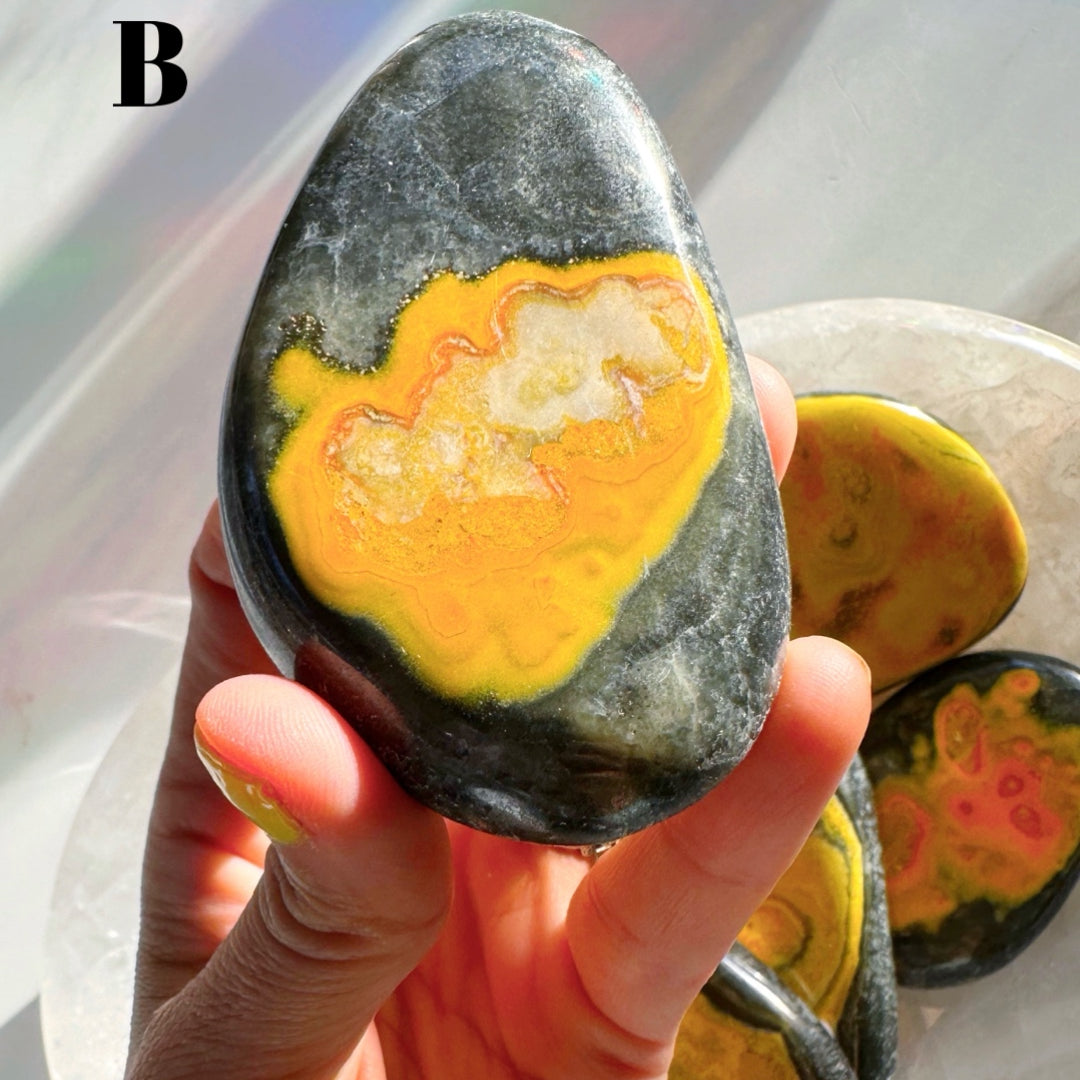 Bumblebee Jasper Palm Stones - Baltic Mermaid