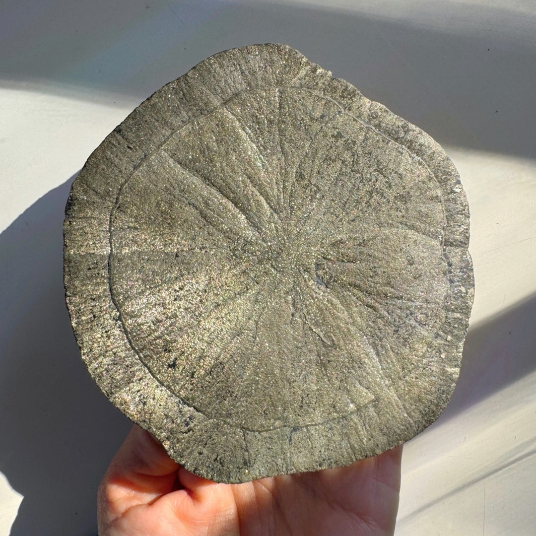 Pyrite Sun - Baltic Mermaid