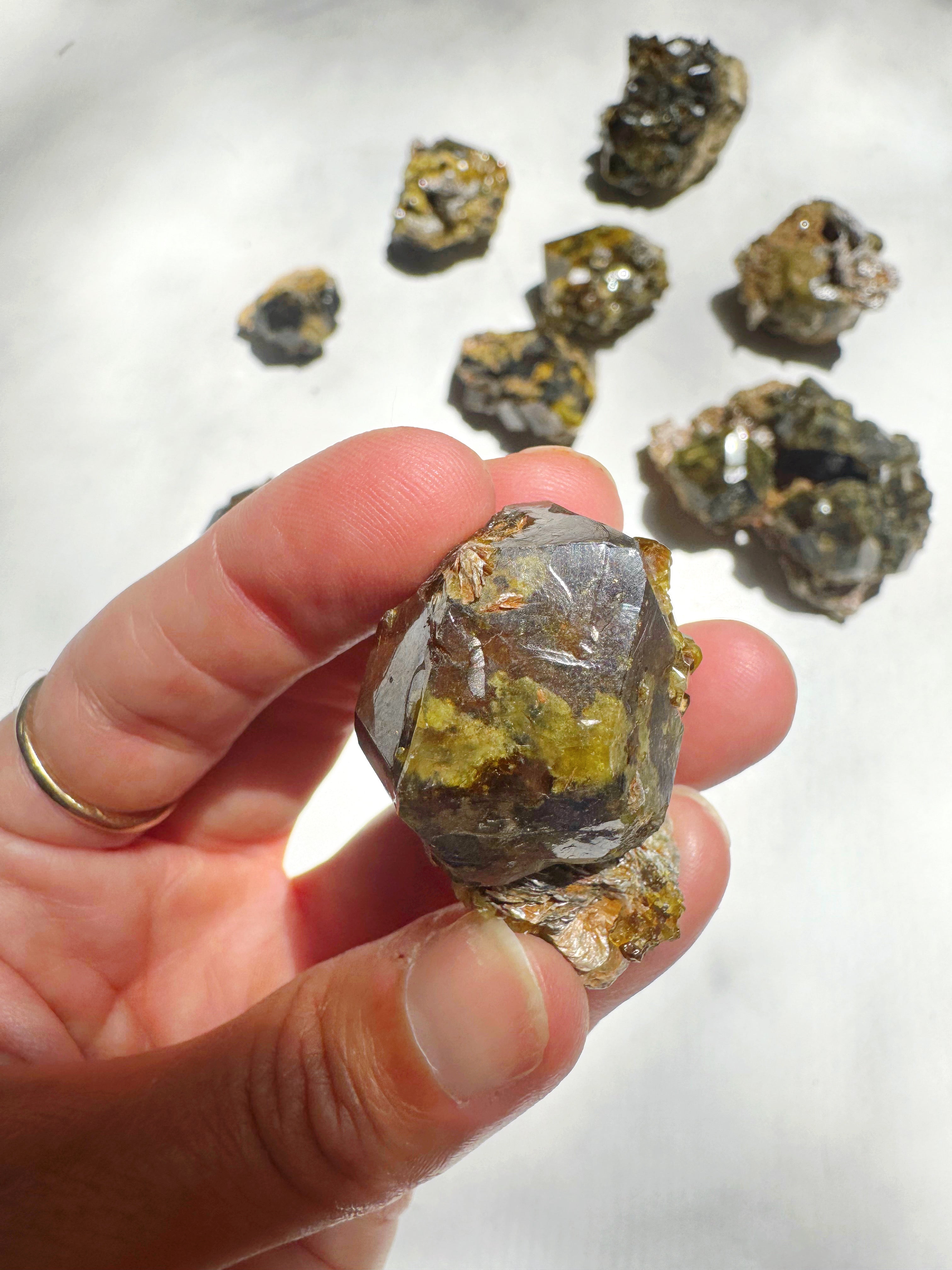Rare Mali Green Grossular Andradite Garnet w/ Clinochlore AAA Quality Baltic Mermaid