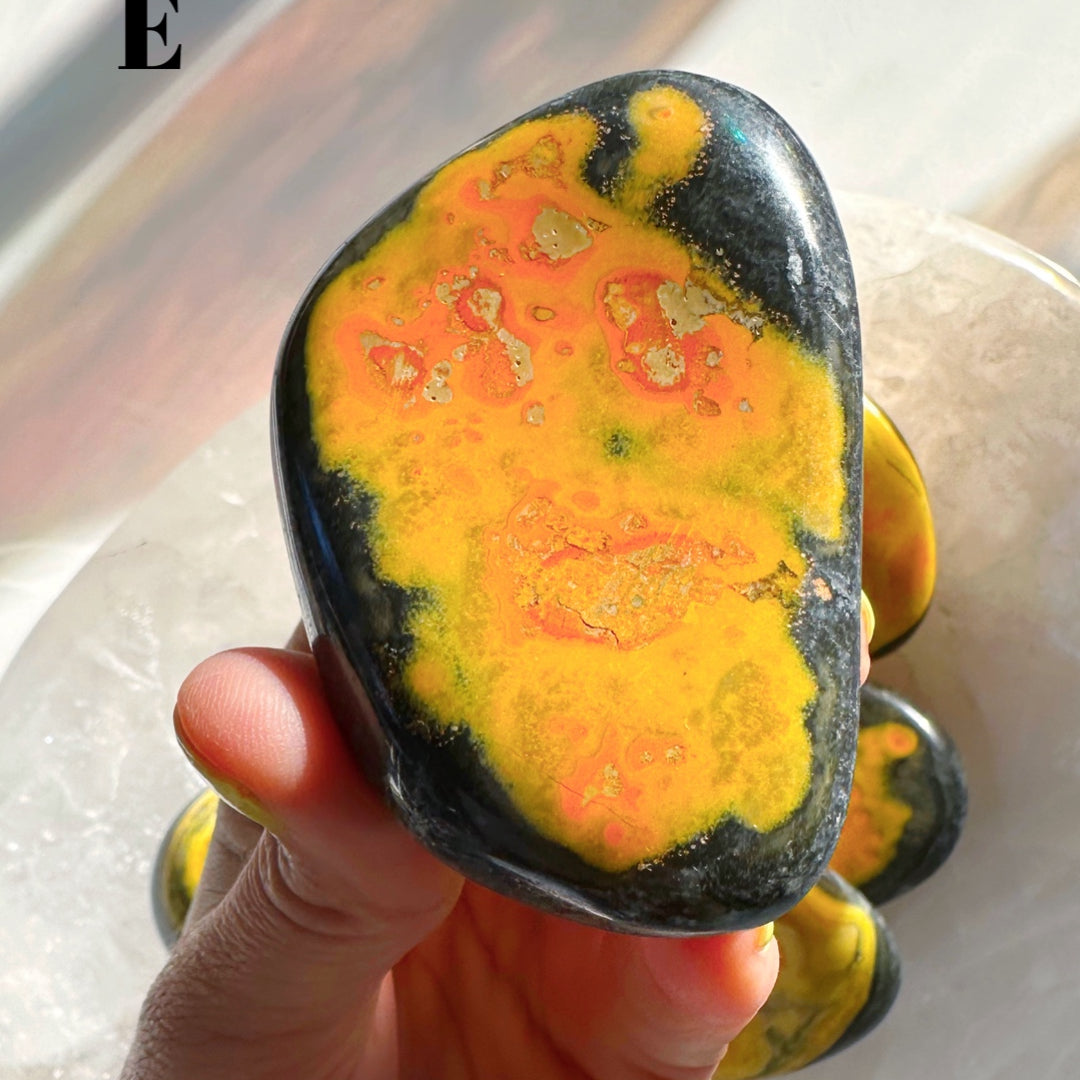 Bumblebee Jasper Palm Stones - Baltic Mermaid