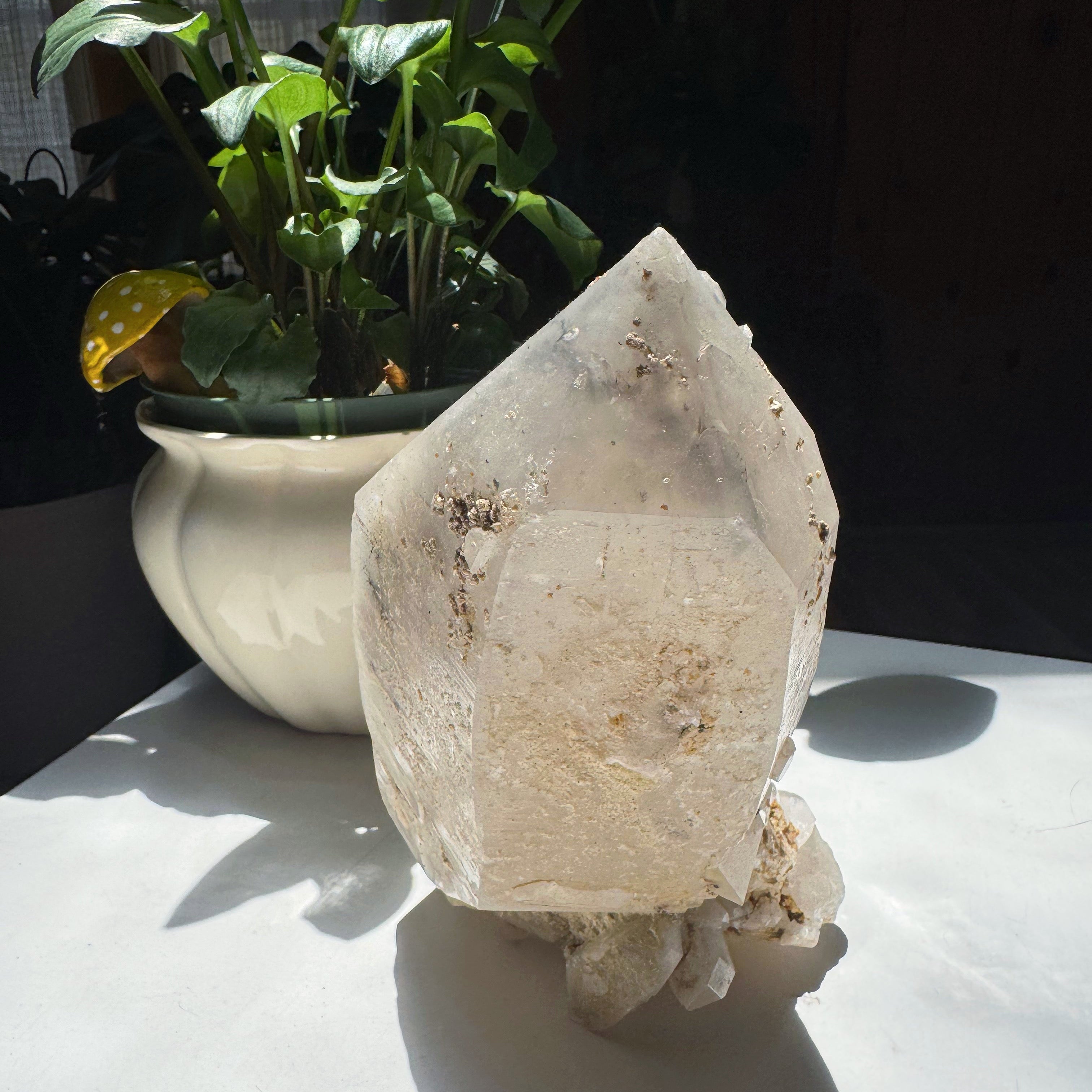 Large Double Terminated Quartz Point w/ Inclusions from Brazil Baltic Mermaid