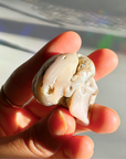 Pink Opal Skull - Baltic Mermaid
