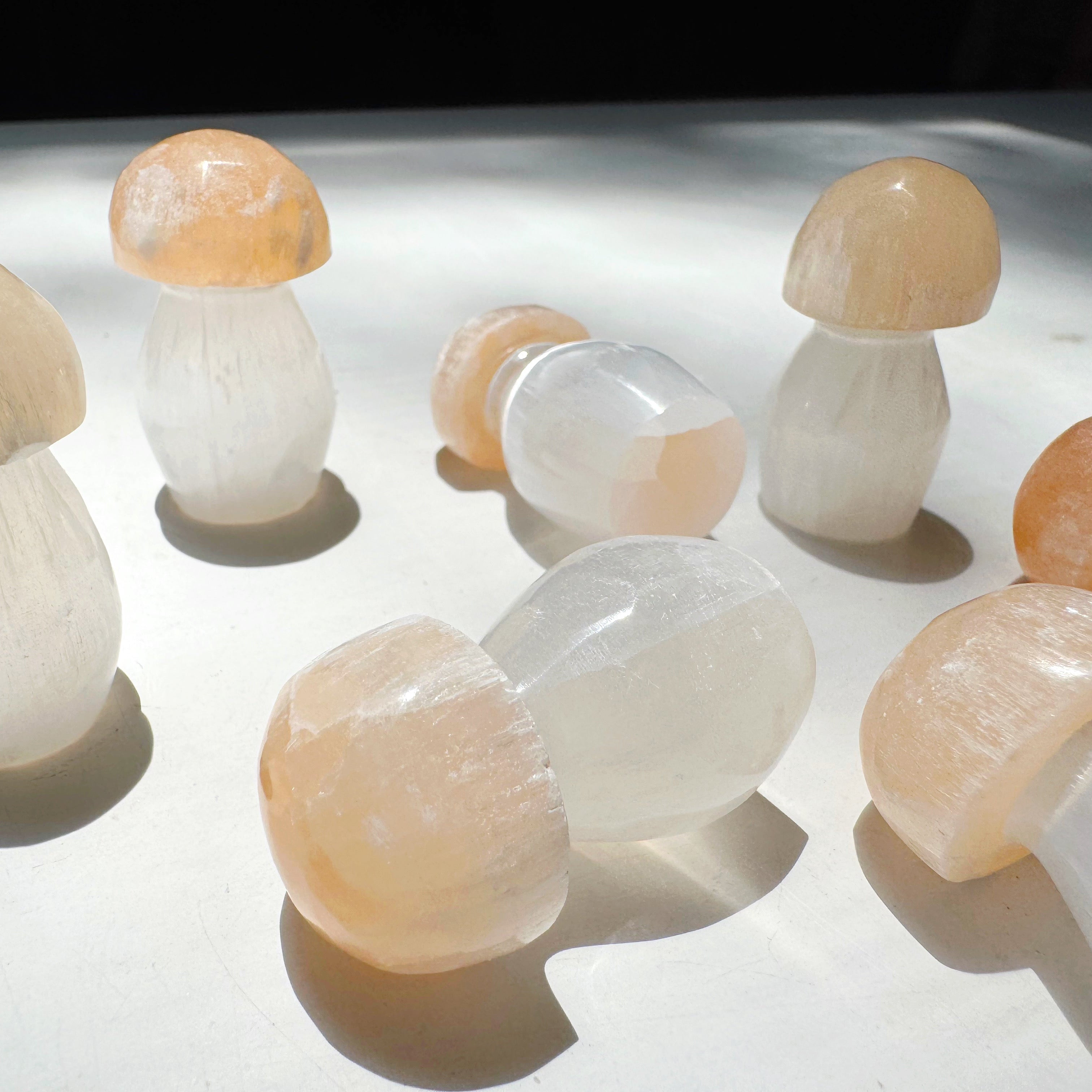 Lil’ Selenite Mushrooms Baltic Mermaid