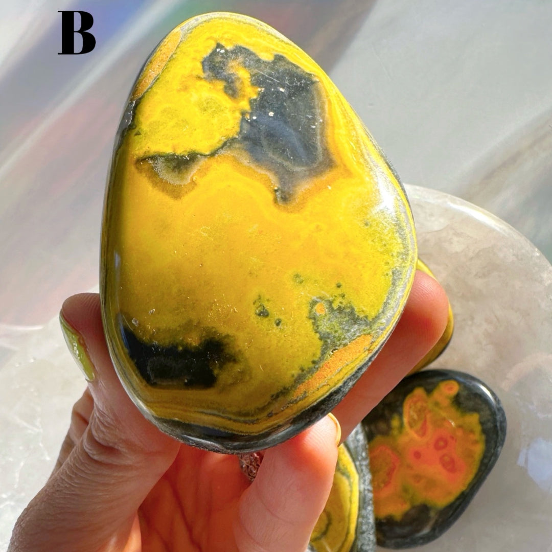 Bumblebee Jasper Palm Stones - Baltic Mermaid