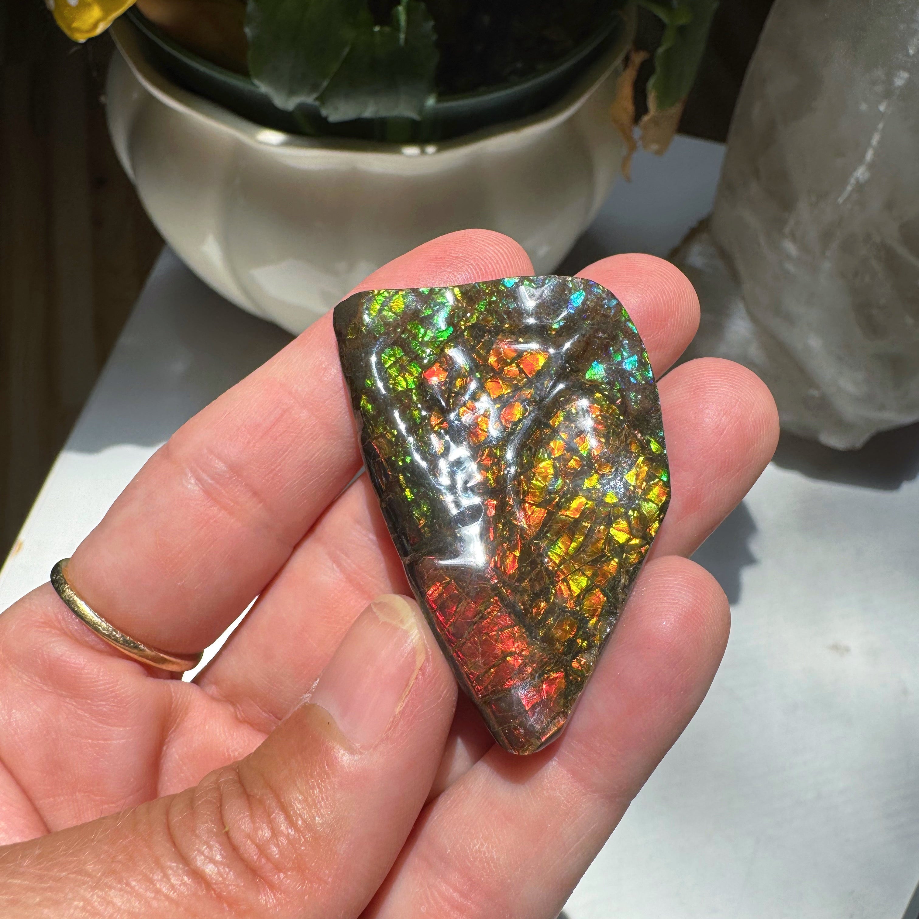 Ammolite Gemstone Hand Specimen Baltic Mermaid
