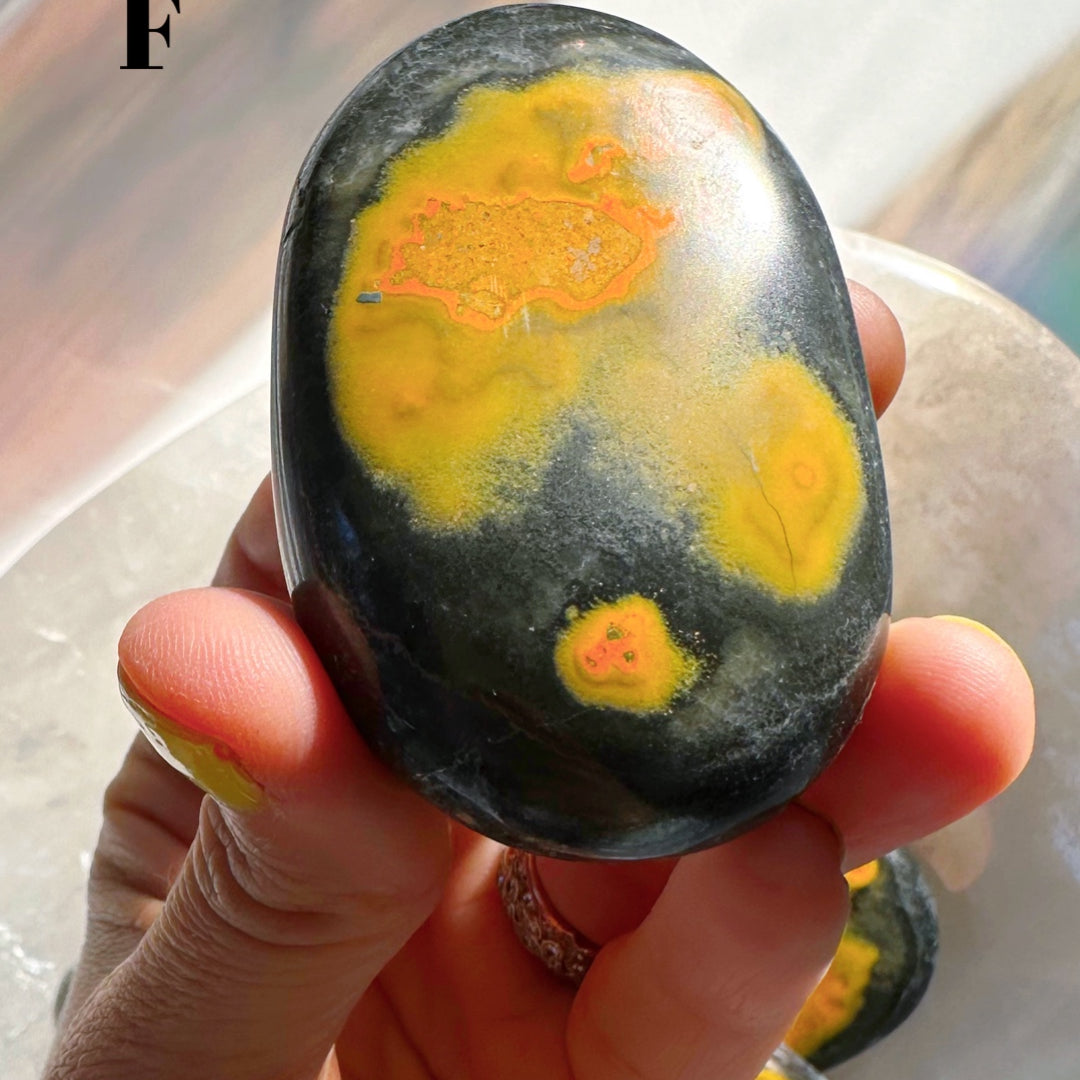 Bumblebee Jasper Palm Stones - Baltic Mermaid