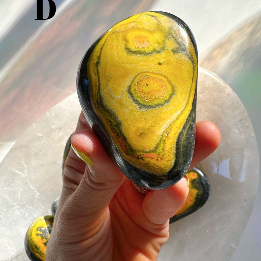 Bumblebee Jasper Palm Stones - Baltic Mermaid