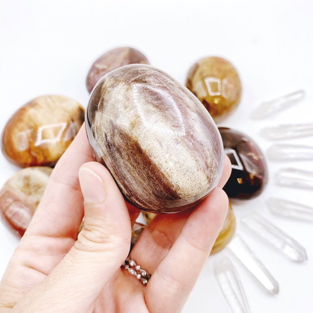 Petrified Wood Palm Stones - Baltic Mermaid