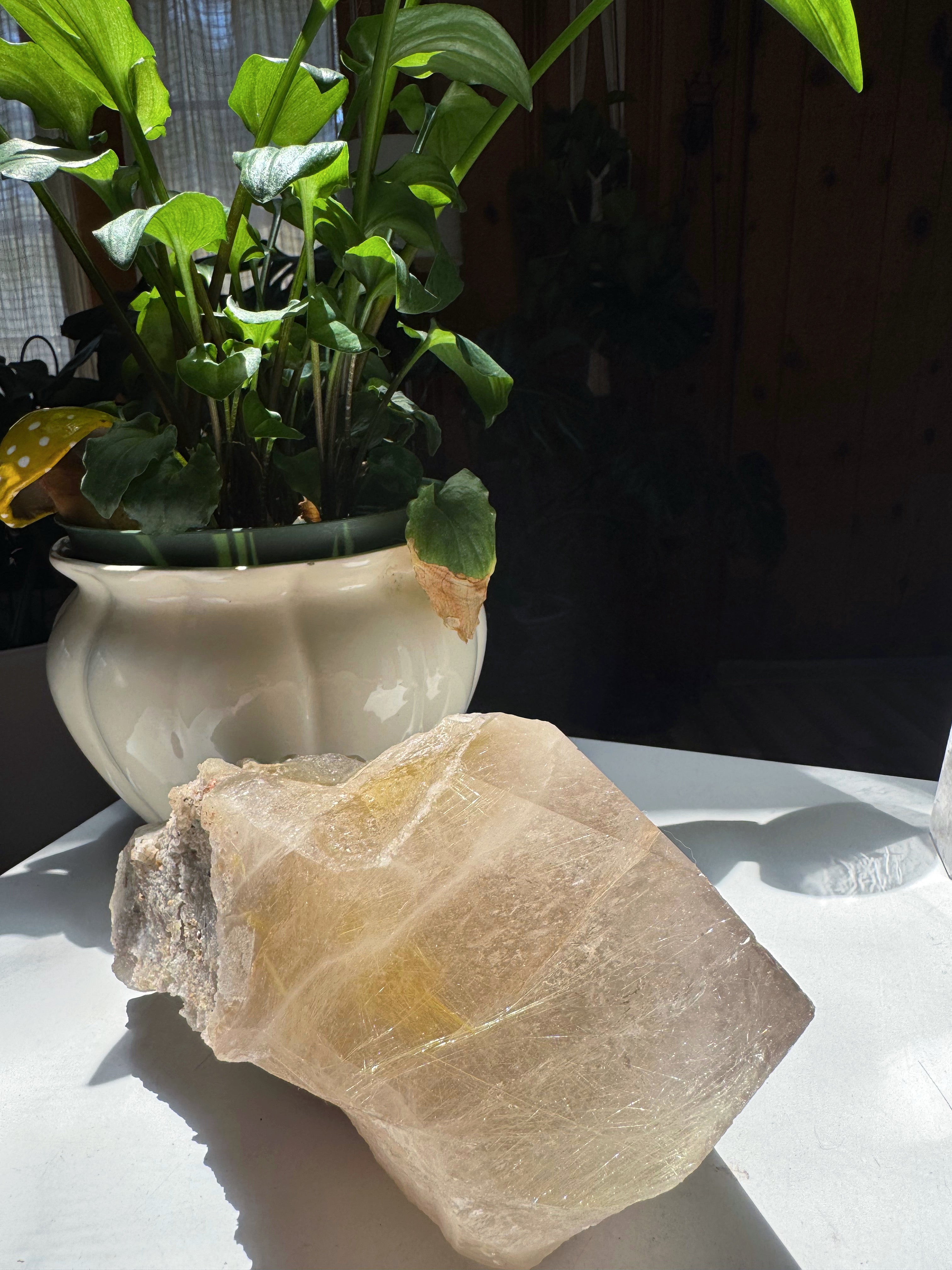 Large Rutilated Quartz Point from Brazil w/ Recordkeepers Baltic Mermaid