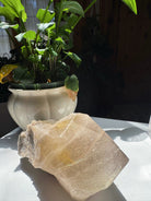 Large Rutilated Quartz Point from Brazil w/ Recordkeepers Baltic Mermaid