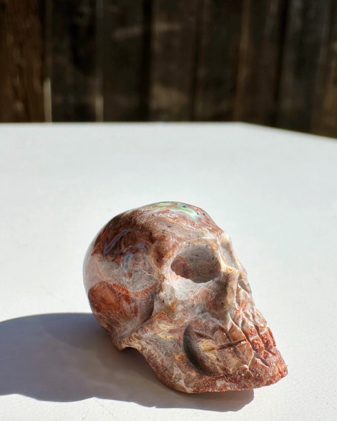 Cantera Opal Skull - Baltic Mermaid