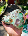 Chrysoprase Freeform - from Australian