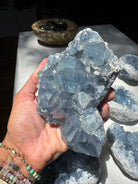 Celestite Cluster Baltic Mermaid