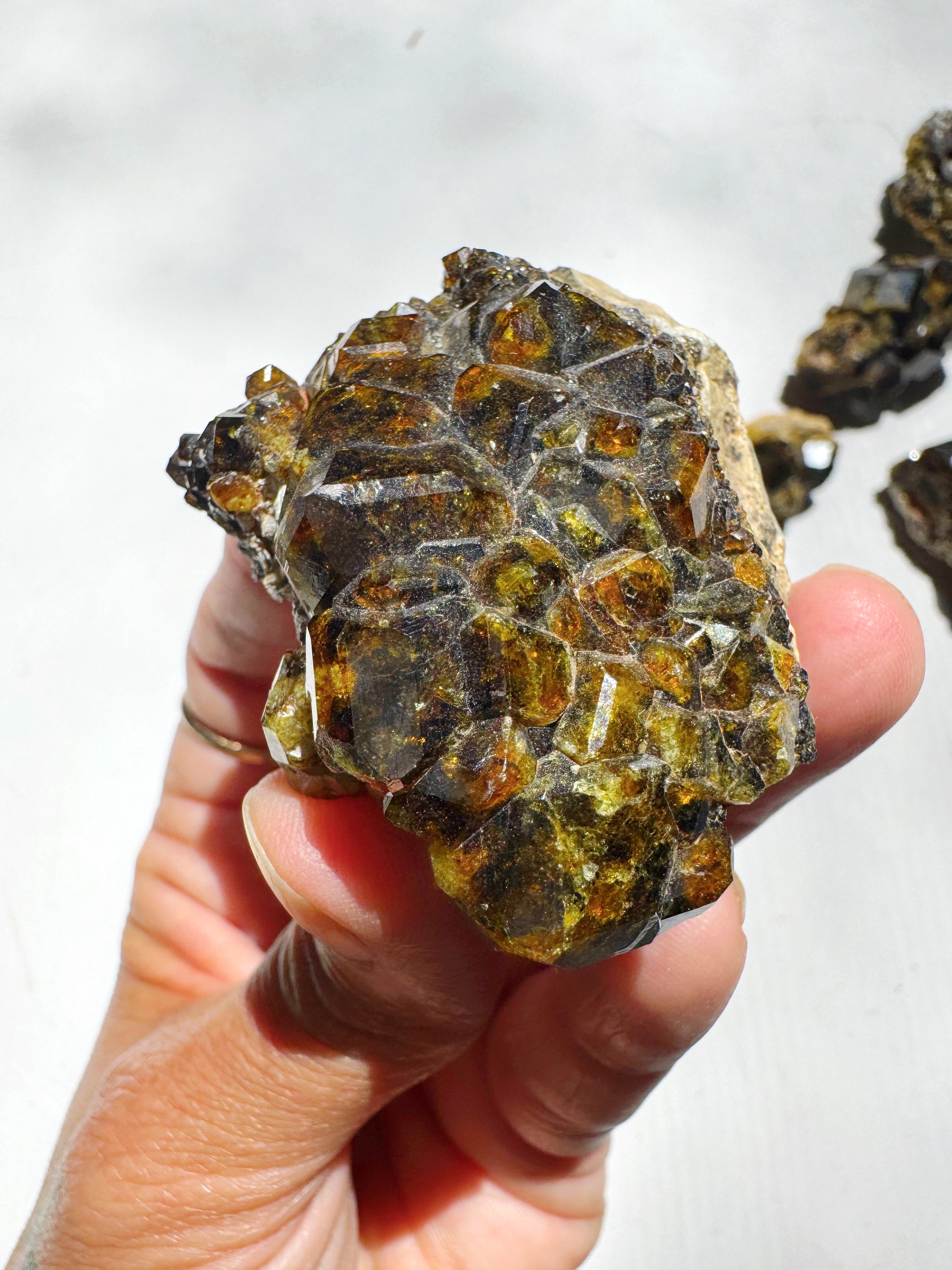 Rare Mali Green Grossular Andradite Garnet w/ Clinochlore AAA Quality Baltic Mermaid