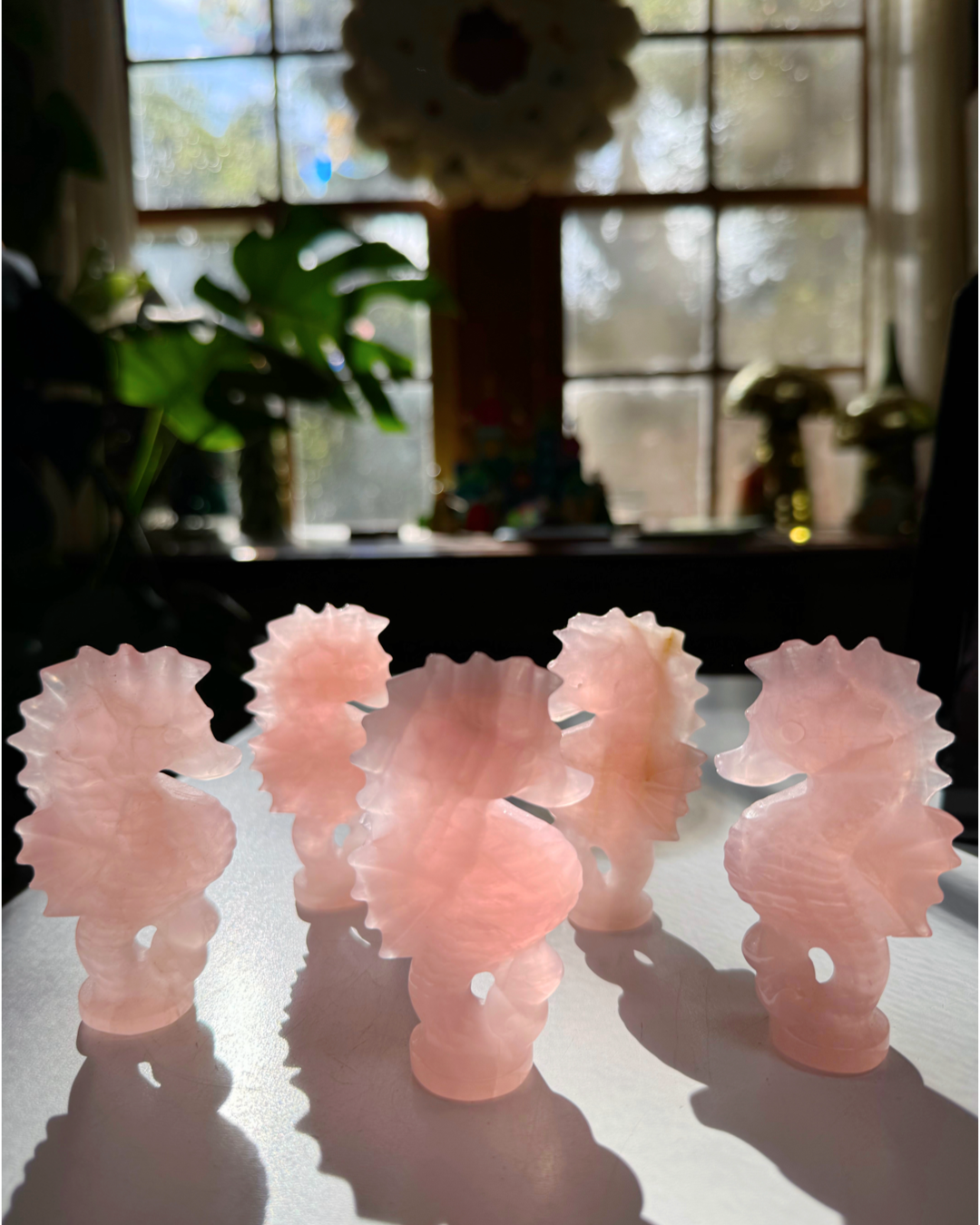 Rose Quartz Seahorse - Baltic Mermaid