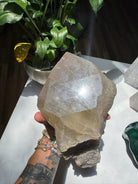 Large Rutilated Quartz Point from Brazil w/ Recordkeepers Baltic Mermaid