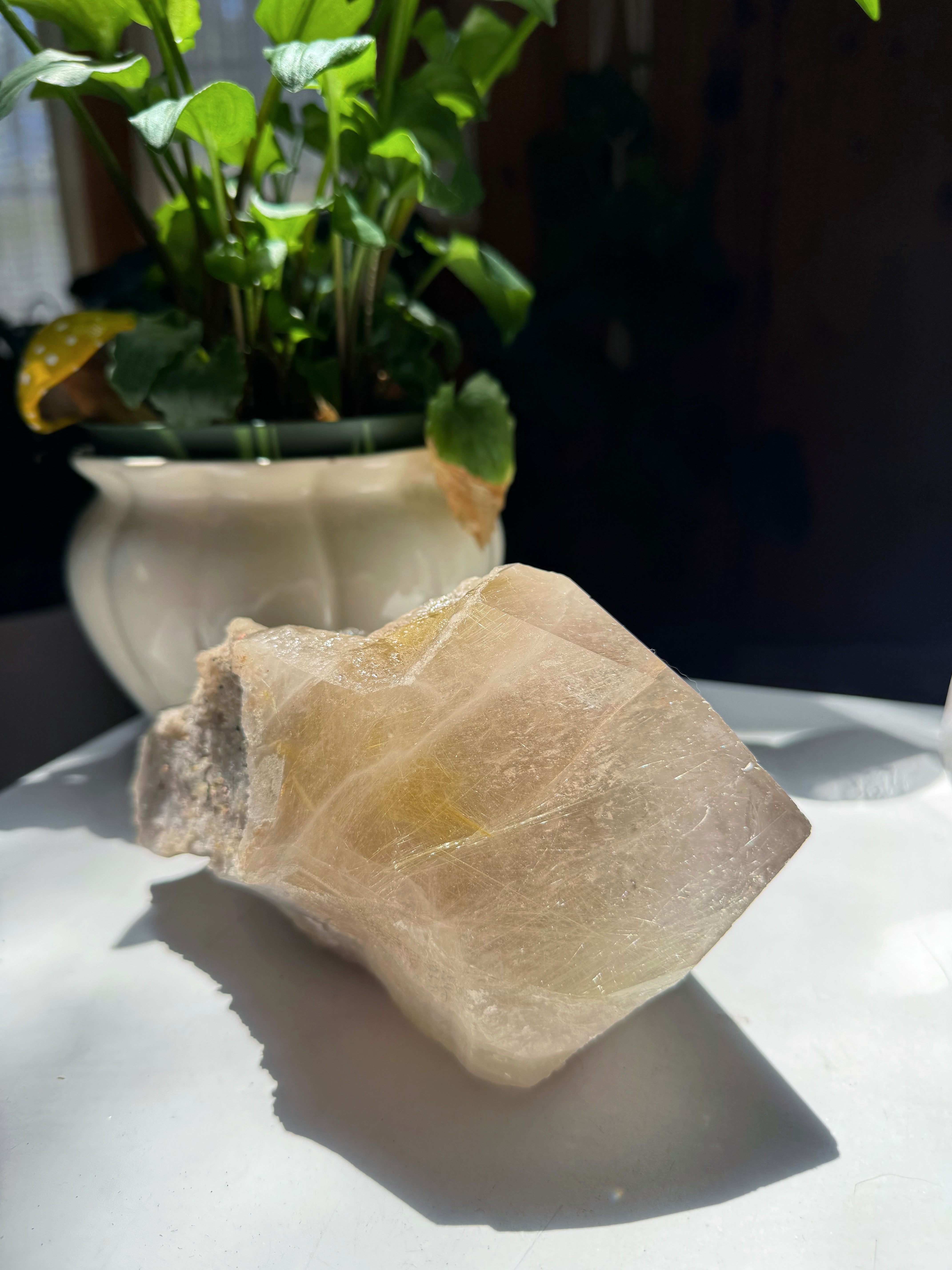 Large Rutilated Quartz Point from Brazil w/ Recordkeepers Baltic Mermaid