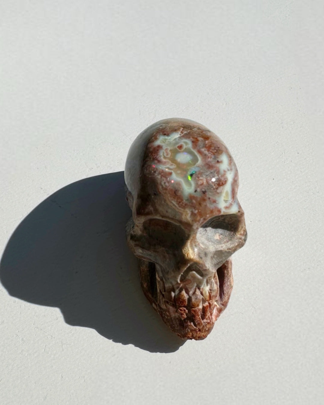 Cantera Opal Skull