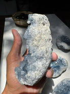 Celestite Cluster Baltic Mermaid