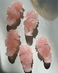 Rose Quartz Seahorse