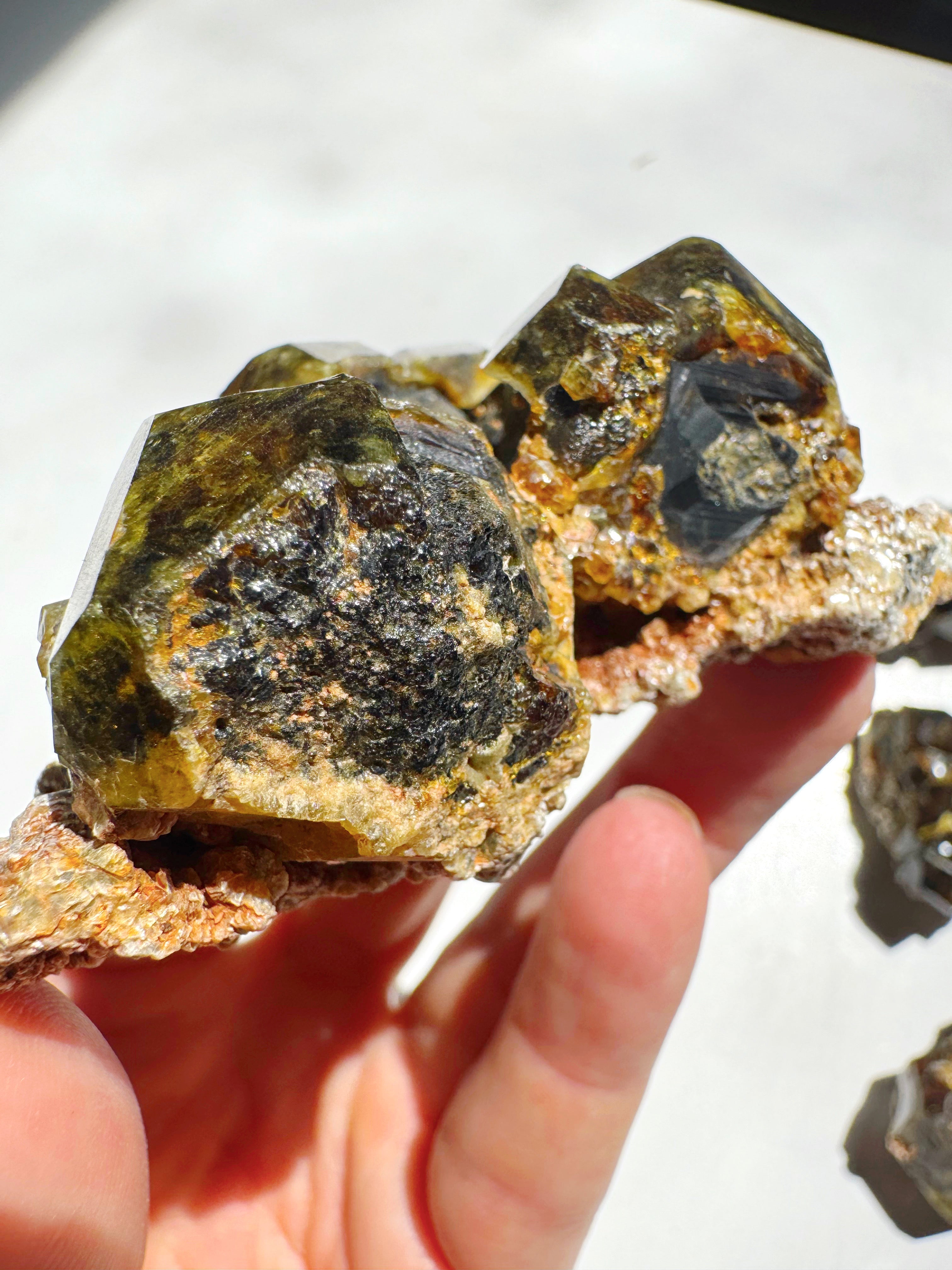 Rare Mali Green Grossular Andradite Garnet w/ Clinochlore AAA Quality Baltic Mermaid