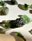 Chlum Moldavite  