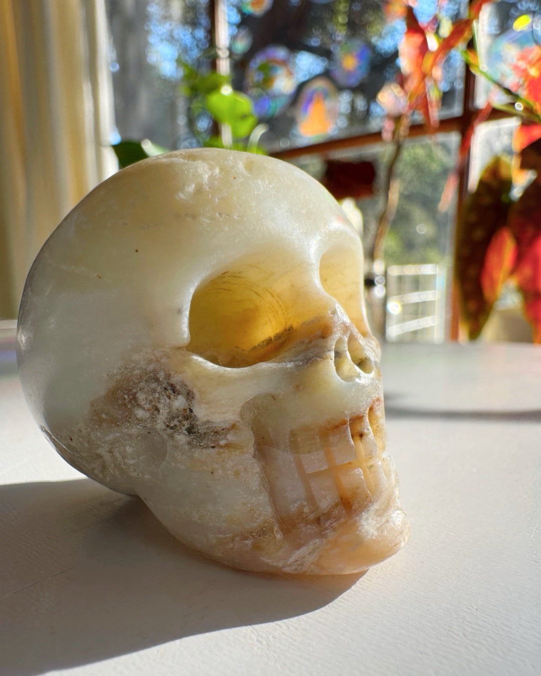 Peruvian Opal Skull - Baltic Mermaid