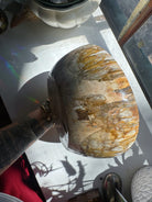 Large Petrified Wood Bowl Baltic Mermaid