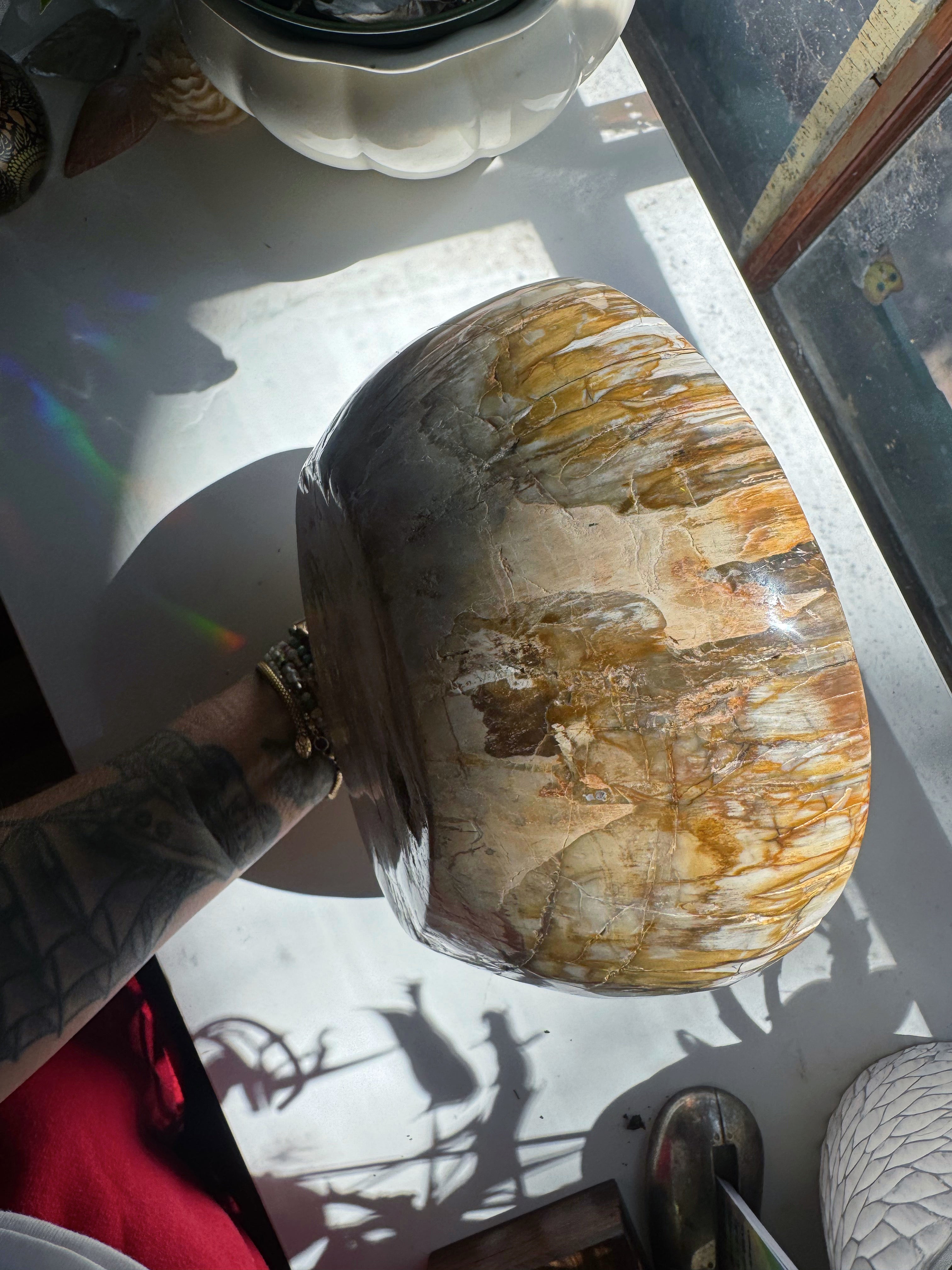 Large Petrified Wood Bowl Baltic Mermaid