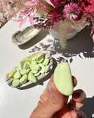 Lemon Chrysoprase (Magnesite) Polished/Tumbled Stones - Baltic Mermaid